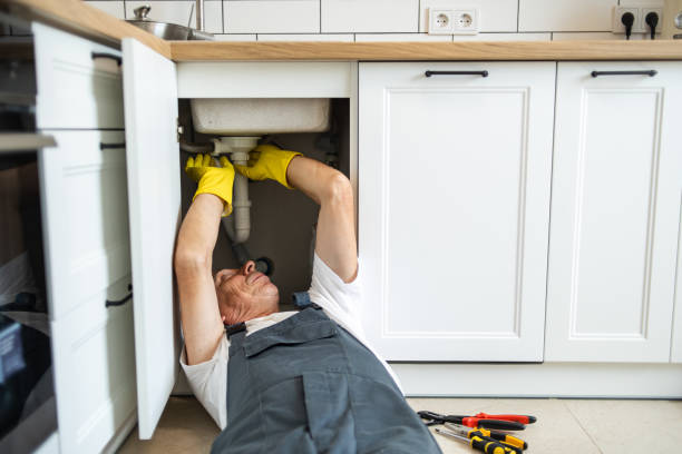 Best Plumbing Inspection Services  in Duenweg, MO